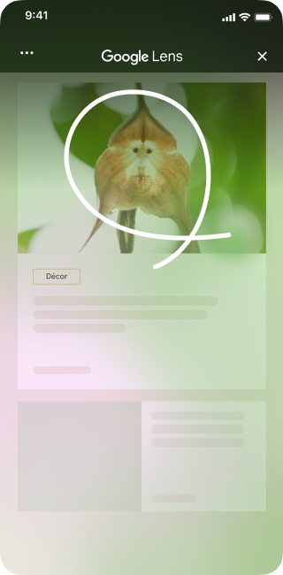 Sur un site de décoration intérieure présentant une image d'une fleur unique, un utilisateur d'iPhone ouvre les outils de la page et sélectionne